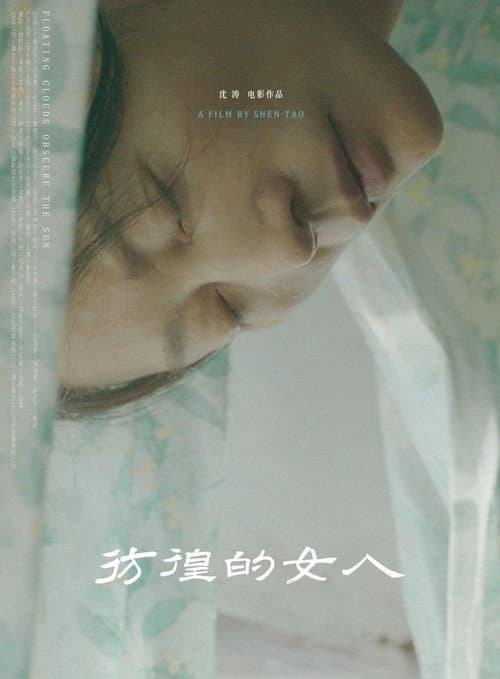 Постер: 彷徨的女人