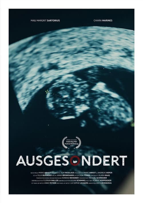Постер: Screened Out
