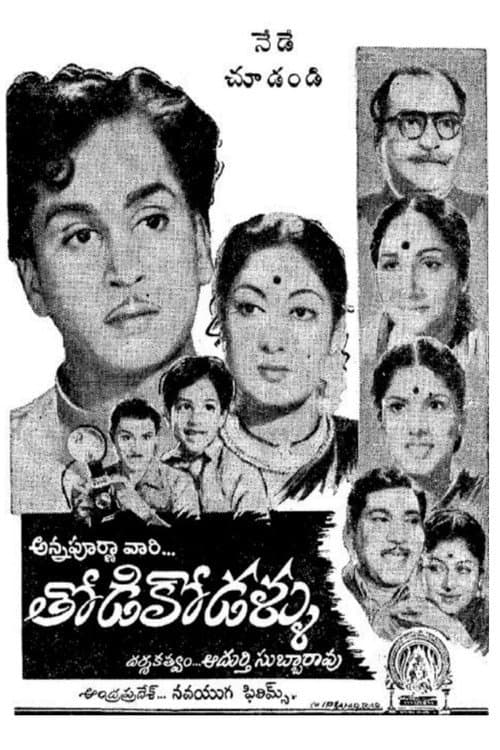 Постер: తోడికోడళ్ళు