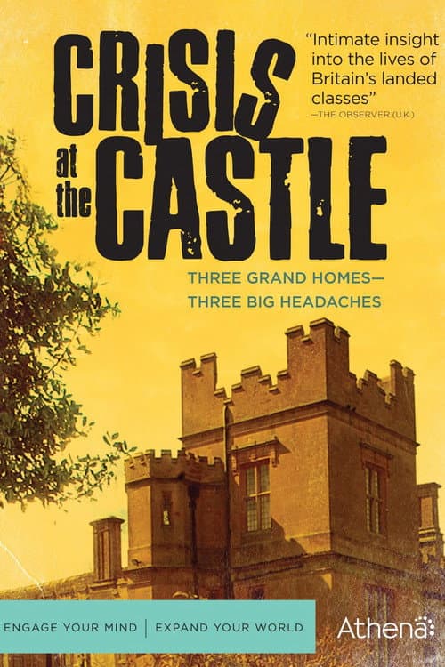 Постер: Crisis at the Castle