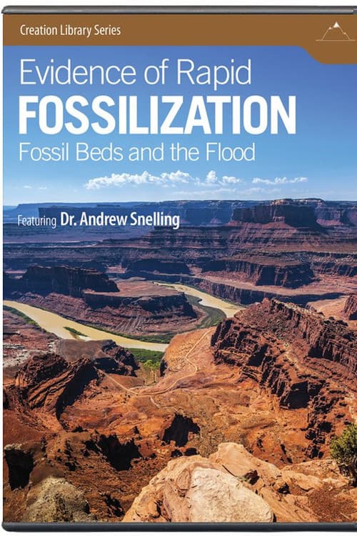 Постер: Evidence of Rapid Fossilization