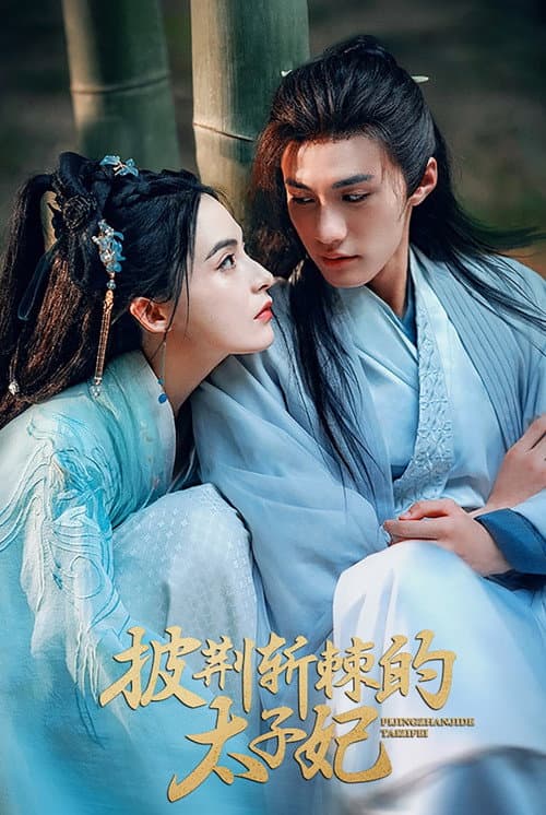 Постер: 披荆斩棘的太子妃