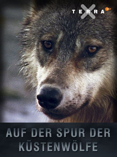 Постер: Auf der Spur der Küstenwölfe