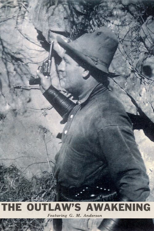 Постер: The Outlaw's Awakening