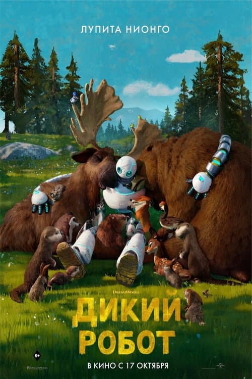 Кадр 10