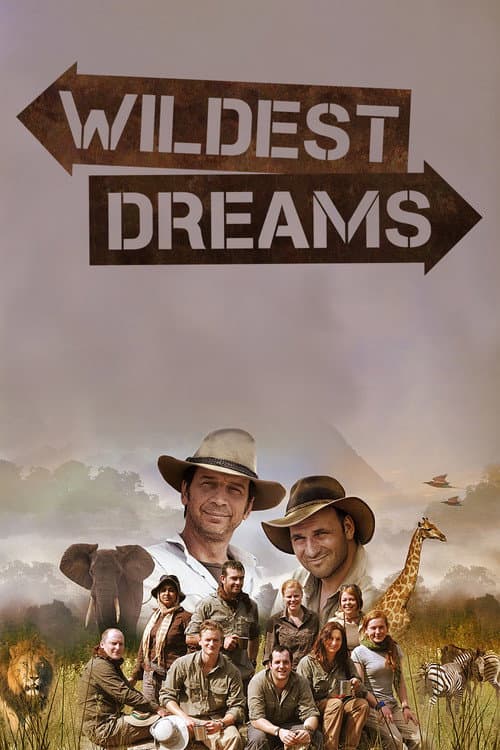 Постер: Wildest Dreams