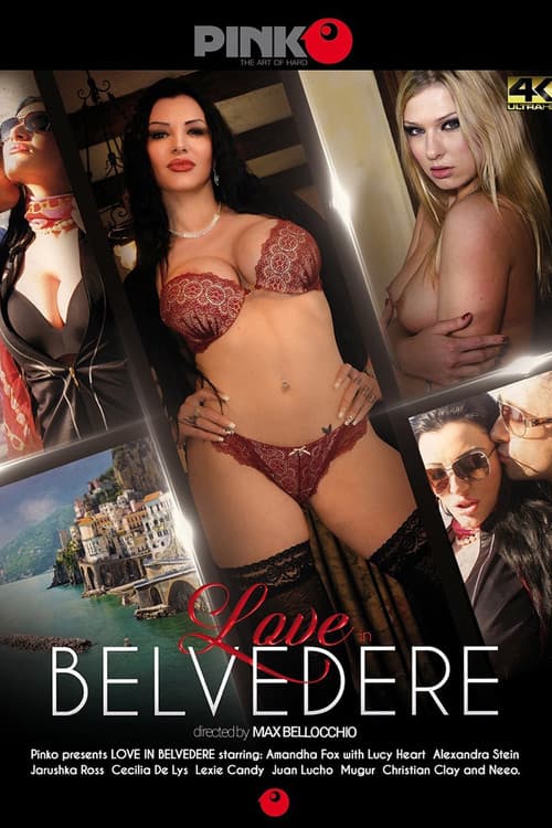 Постер: Love in Belvedere