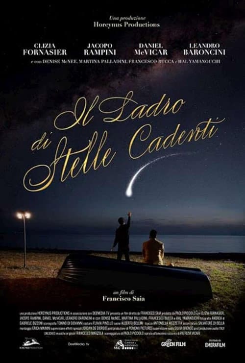 Постер: Il ladro di stelle cadenti