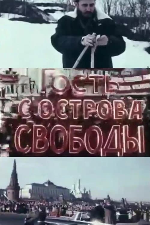 Постер: Гость с острова свободы