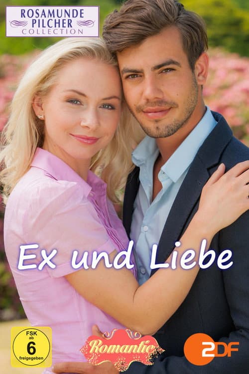 Постер: Rosamunde Pilcher: Ex und Liebe