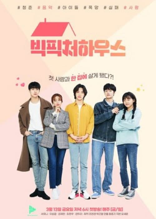 Постер: 빅피처 하우스