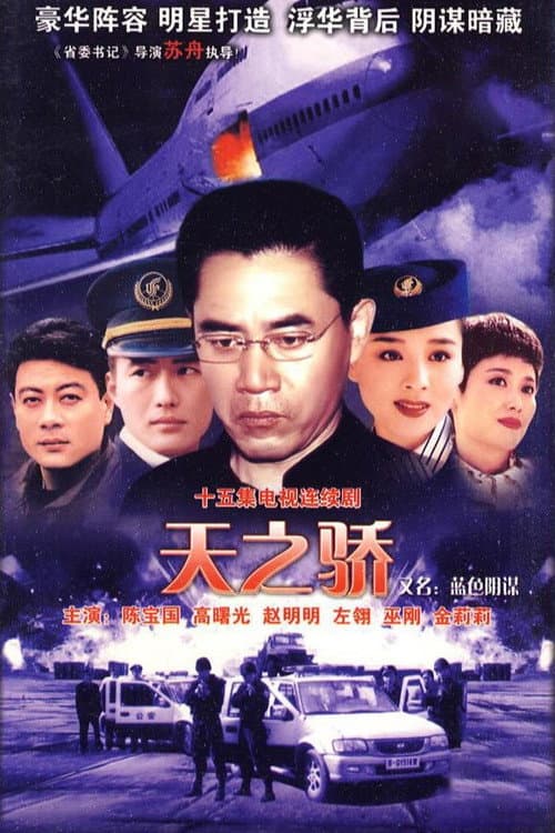 Постер: 中国空姐