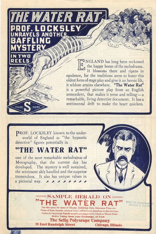 Постер: The Water Rat