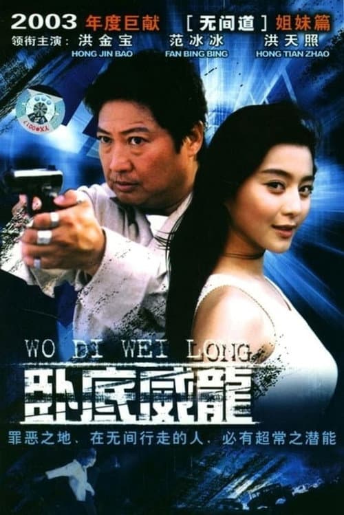 Постер: 特警飞龙