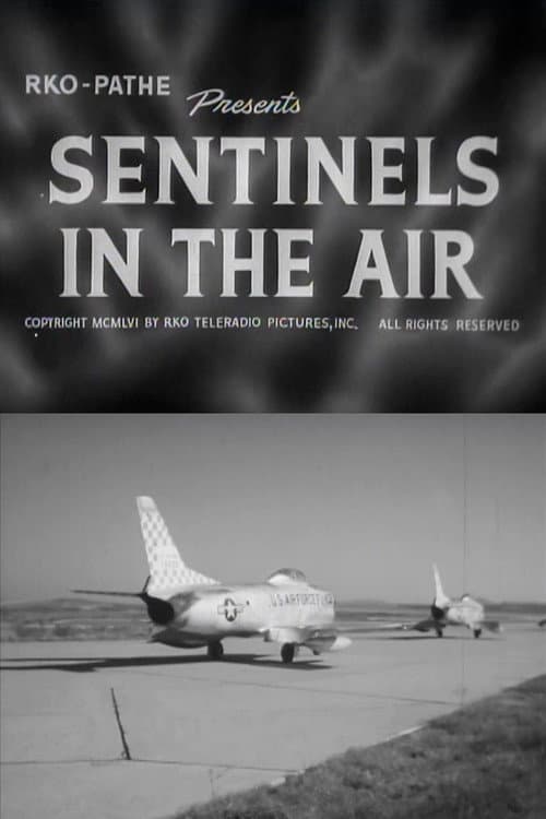 Постер: Sentinels in the Air