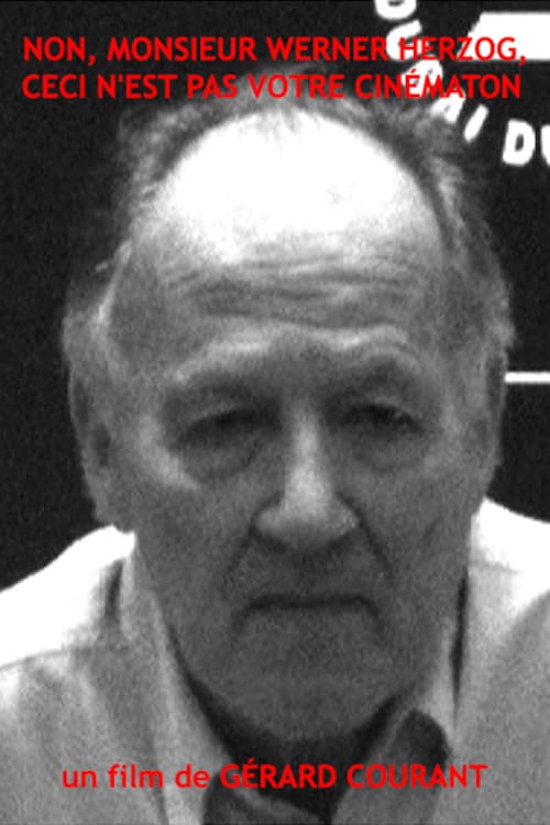 Постер: Non, monsieur Werner Herzog, ceci n'est pas votre Cinématon
