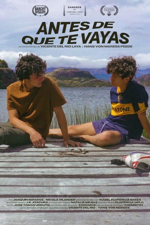 Постер: Antes de que te vayas