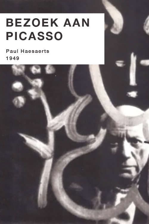 Постер: Bezoek aan Picasso