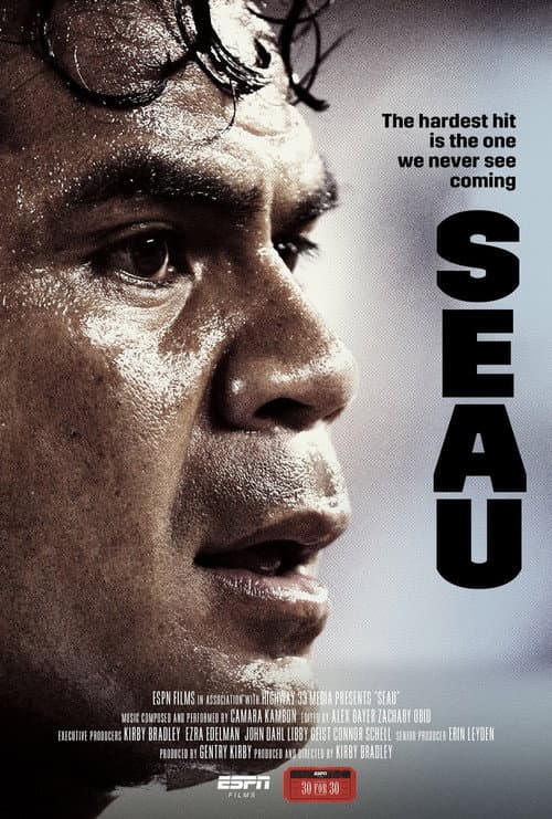 Постер: Seau
