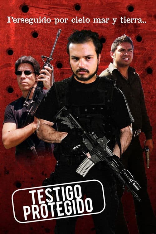 Постер: Testigo Protegido