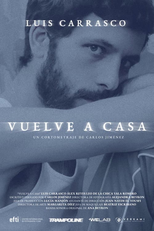 Постер: Vuelve a casa