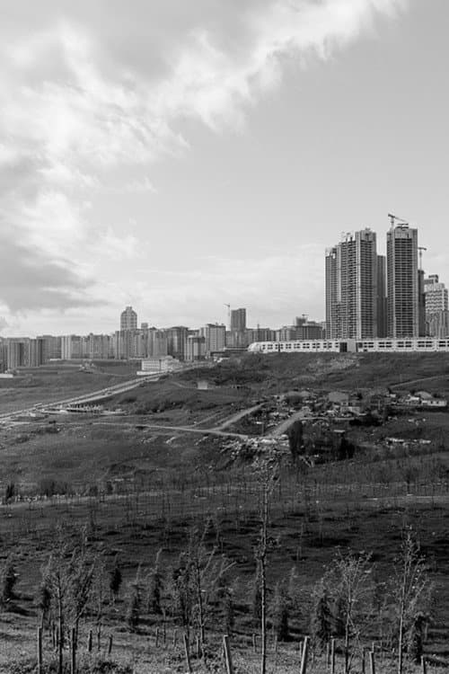 Постер: Silivri'den Mektuplar