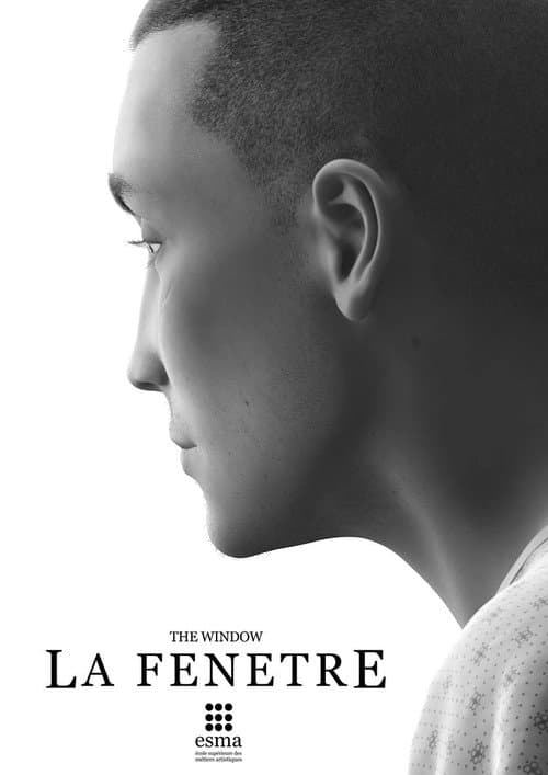 Постер: La Fenêtre