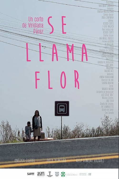 Постер: Se Llama Flor