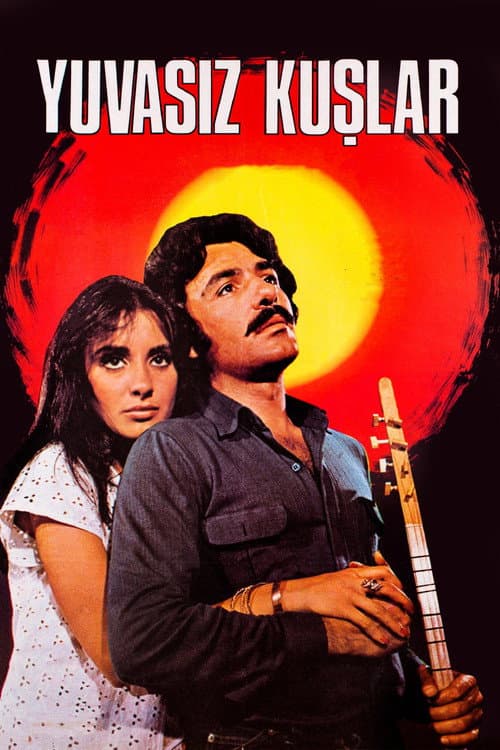 Постер: Yuvasız Kuşlar