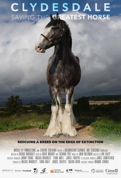 Постер: Clydesdale: Saving the Greatest Horse