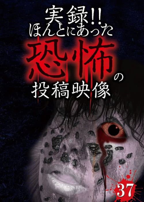 Постер: 実録!!ほんとにあった恐怖の投稿映像 37