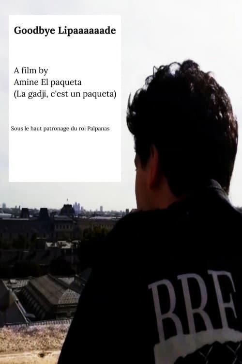 Постер: Goodbye Lipaaaaaade