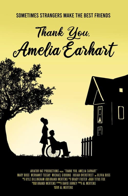 Постер: Thank You, Amelia Earhart