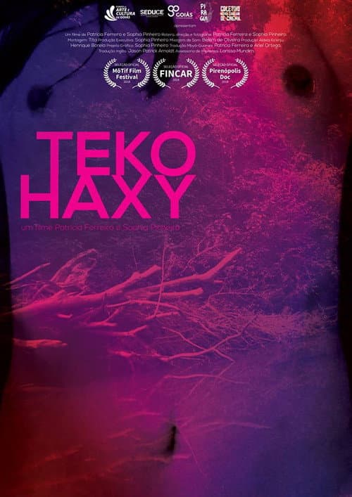 Постер: Teko Haxy - ser imperfeita