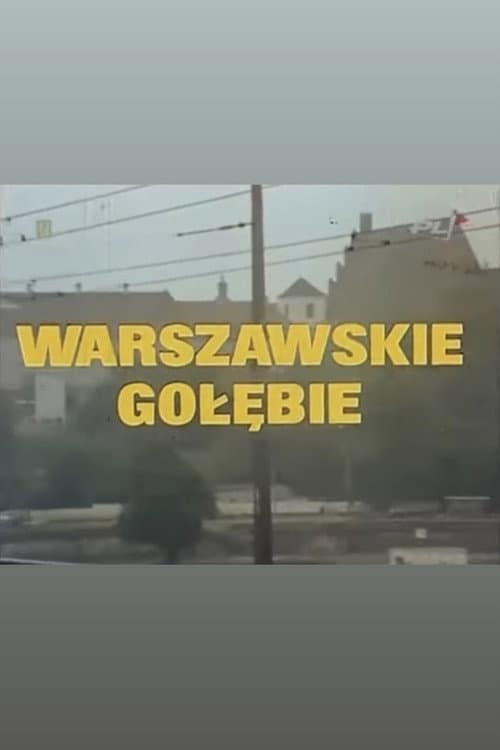 Постер: Warszawskie gołębie