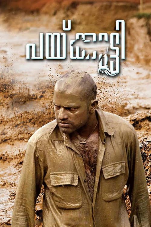 Постер: പയ്ക്കുട്ടി