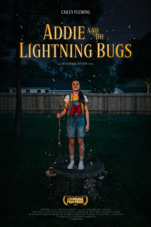 Постер: Addie and the Lightning Bugs
