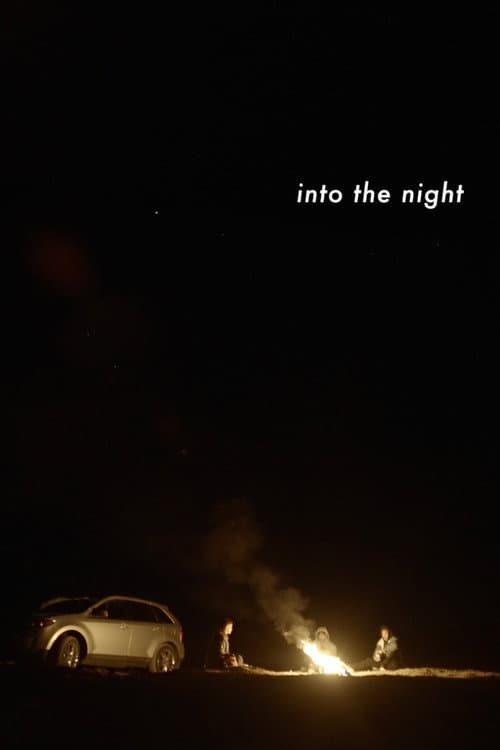 Постер: Into the Night
