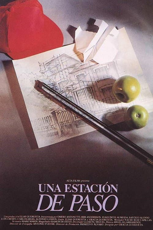 Постер: Una estación de paso