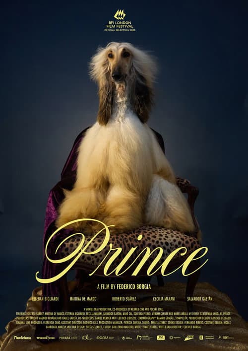 Постер: Prince