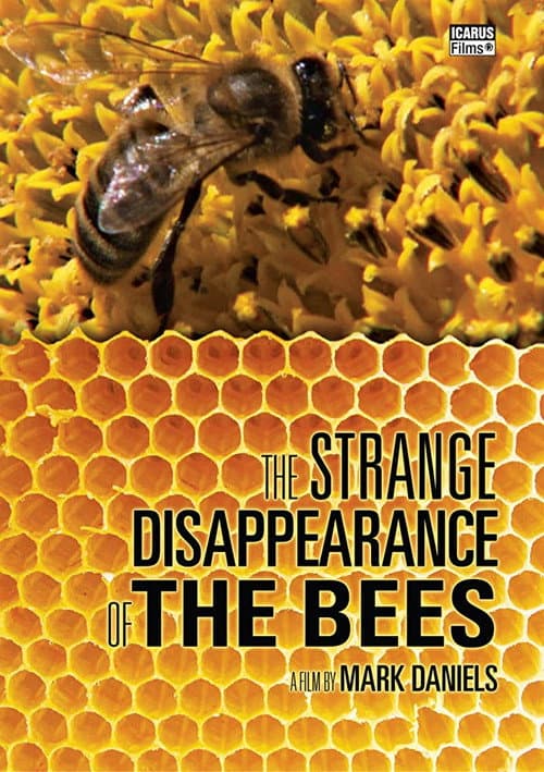Постер: Le Mystère de la disparition des abeilles