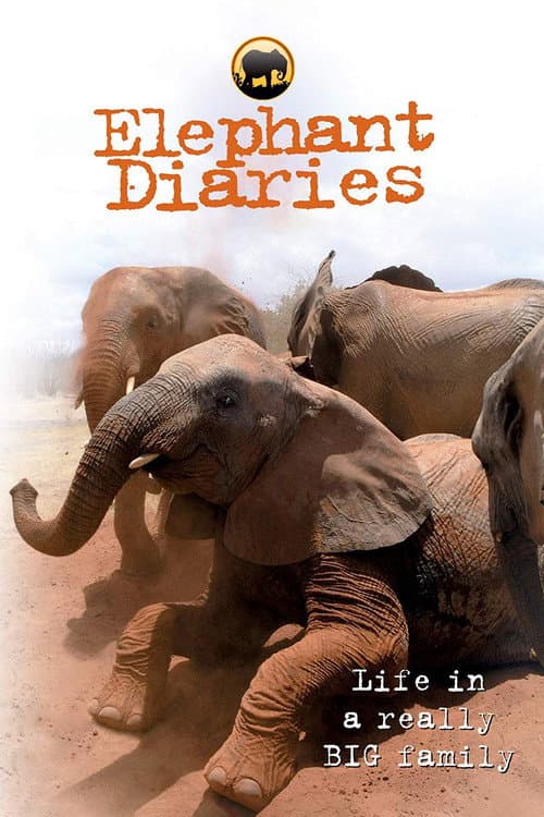 Постер: Elephant Diaries