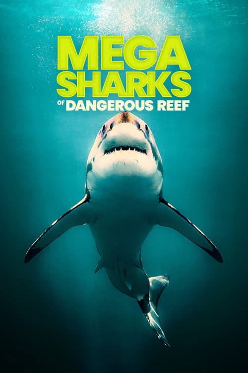 Постер: Megasharks of Dangerous Reef