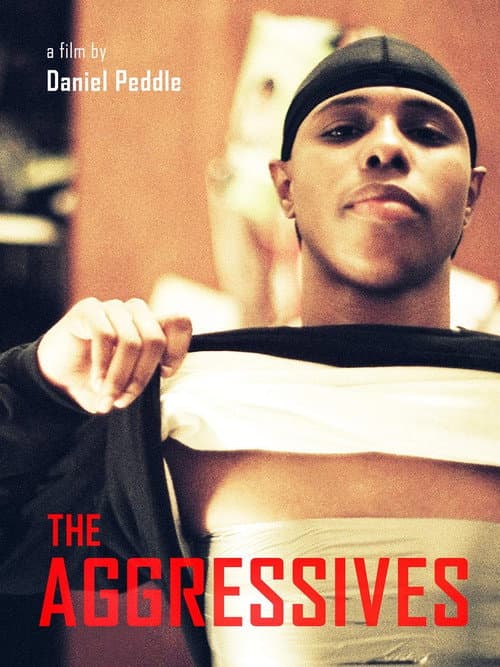 Постер: The Aggressives