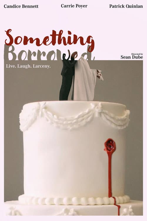Постер: Something Borrowed