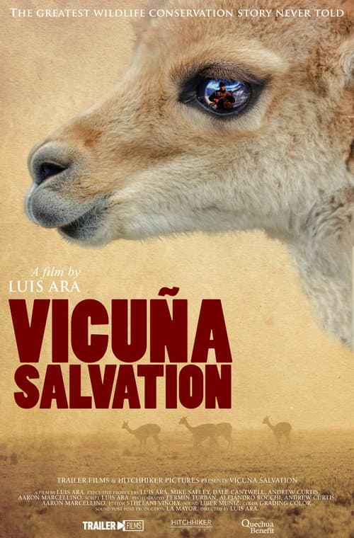 Постер: Vicuña Salvation