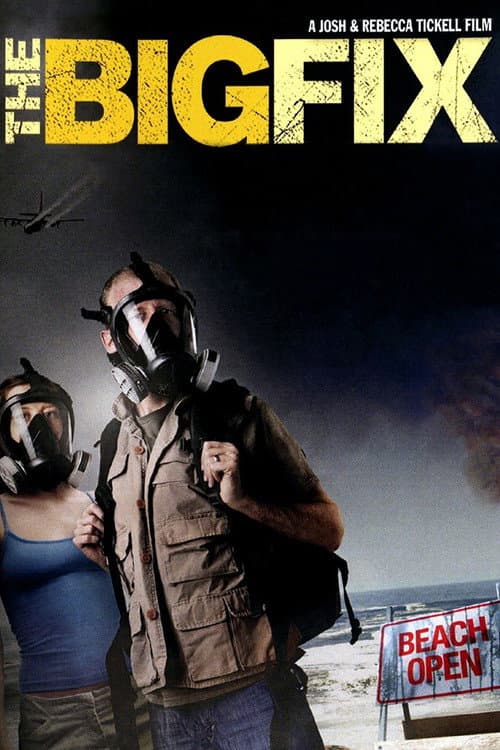 Постер: The Big Fix