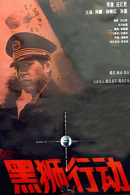Постер: 黑狮行动