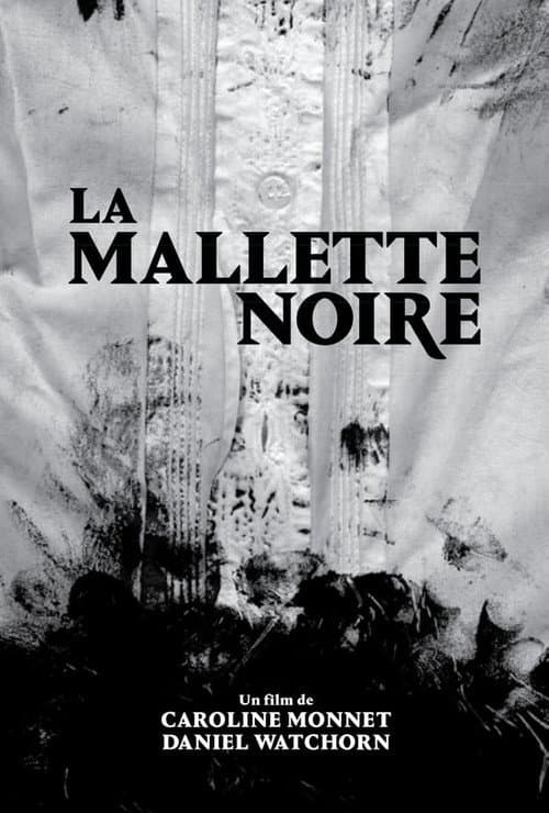 Постер: La mallette noire