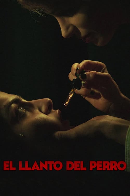 Постер: El llanto del perro